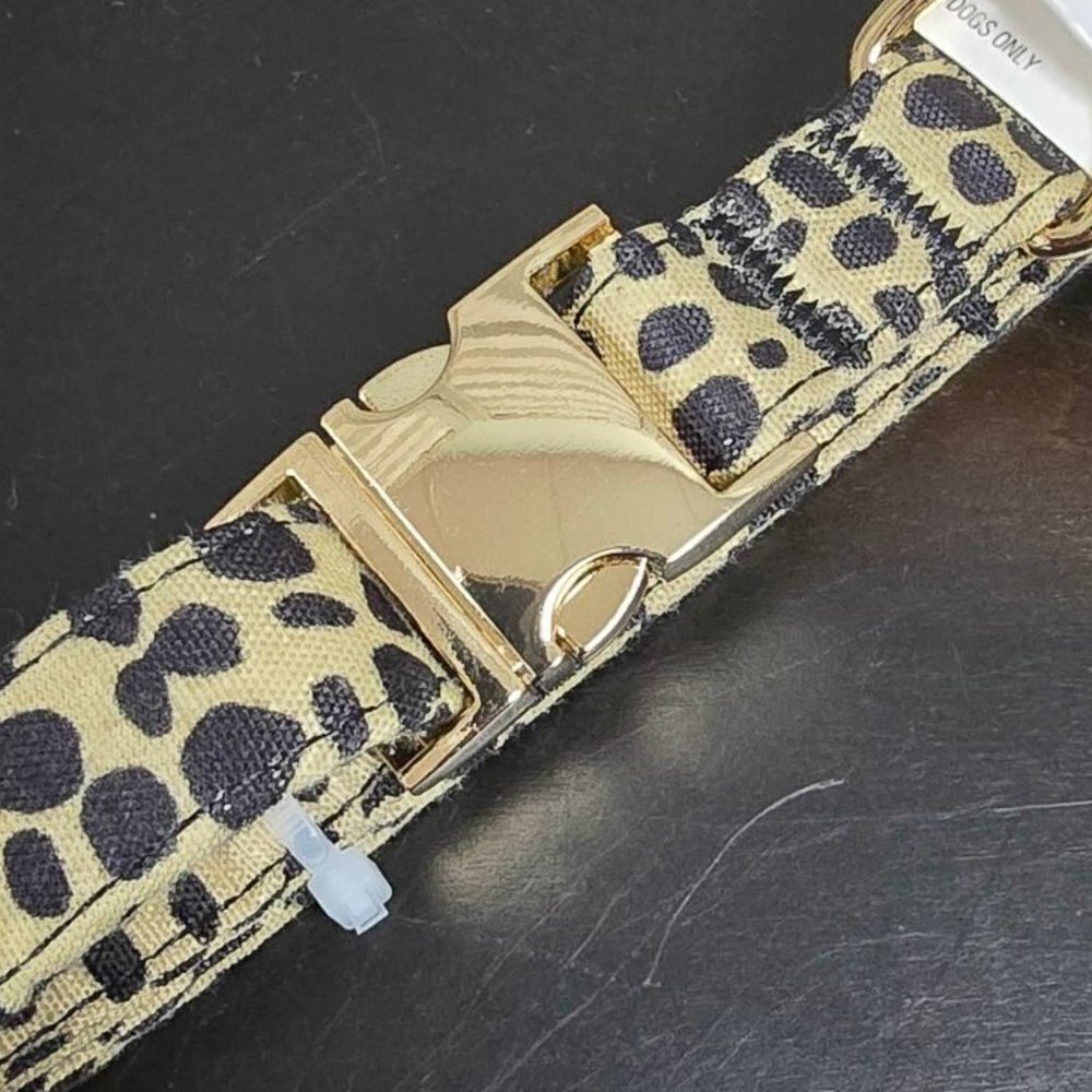 Animal Print with Buckle Branding Dog Collar | Boots & Barkley | Medium - Picture 4 of 10